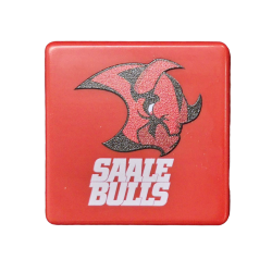 Saale Bulls - Magnet - Logo - Quadrat
