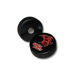 Saale Bulls - Minipuck - Magnet - mit Logo